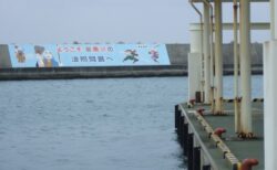 Minshuku Tamashiro: a defunct inn in Haterumajima, Japanese most southern inhibited island